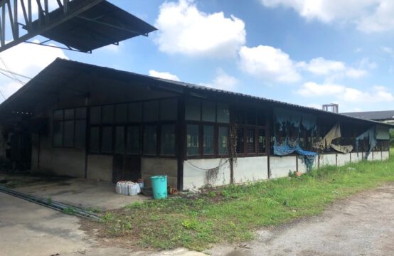 Warehouse Factory Om Noi-Krathum Baen